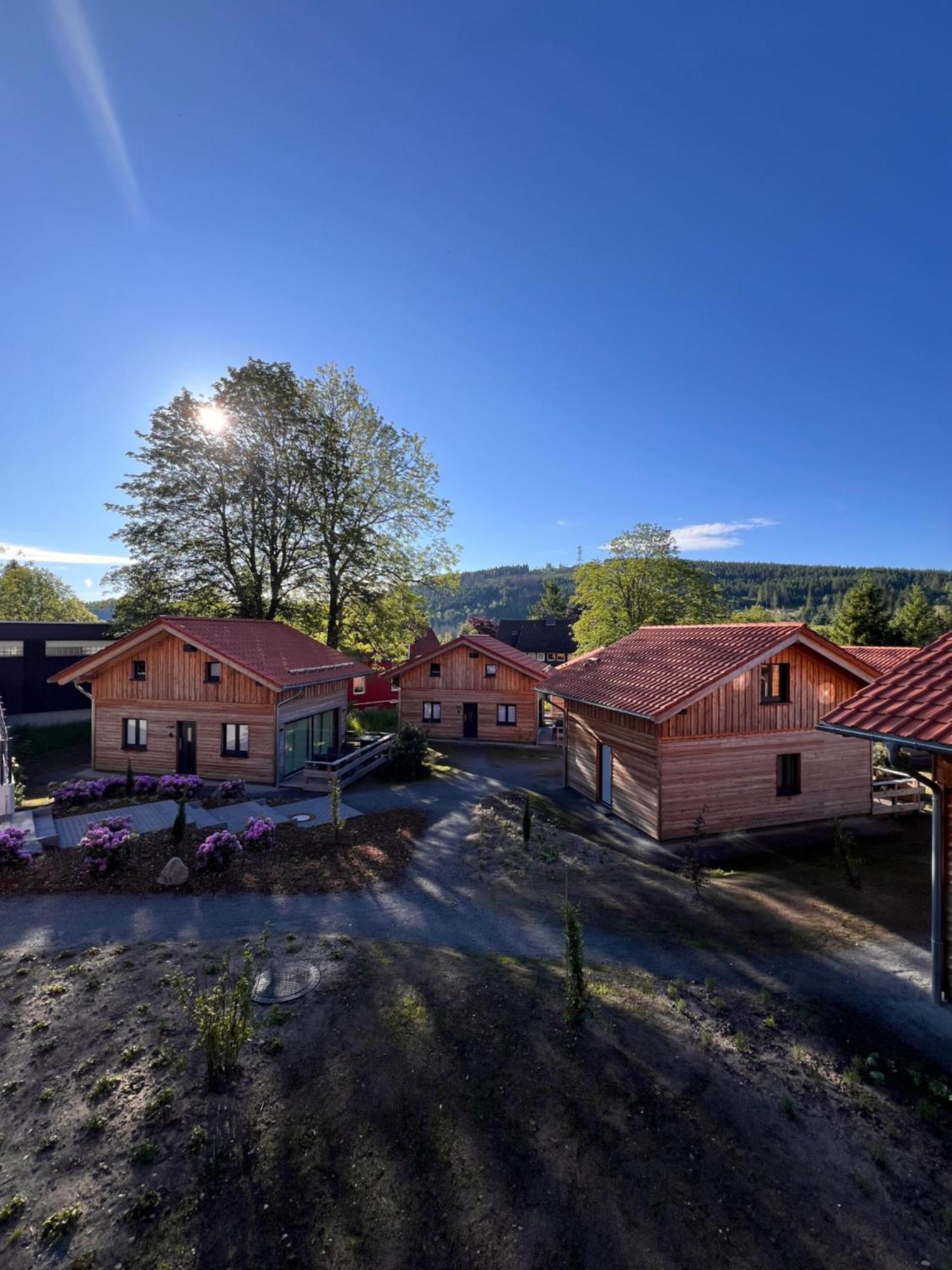 Cecilienpark Oberharz Goslar Exterior foto
